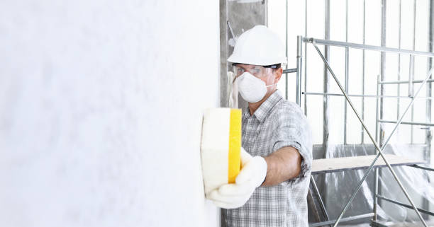 Best Post-Construction Mold Inspection in Bourbon, MO